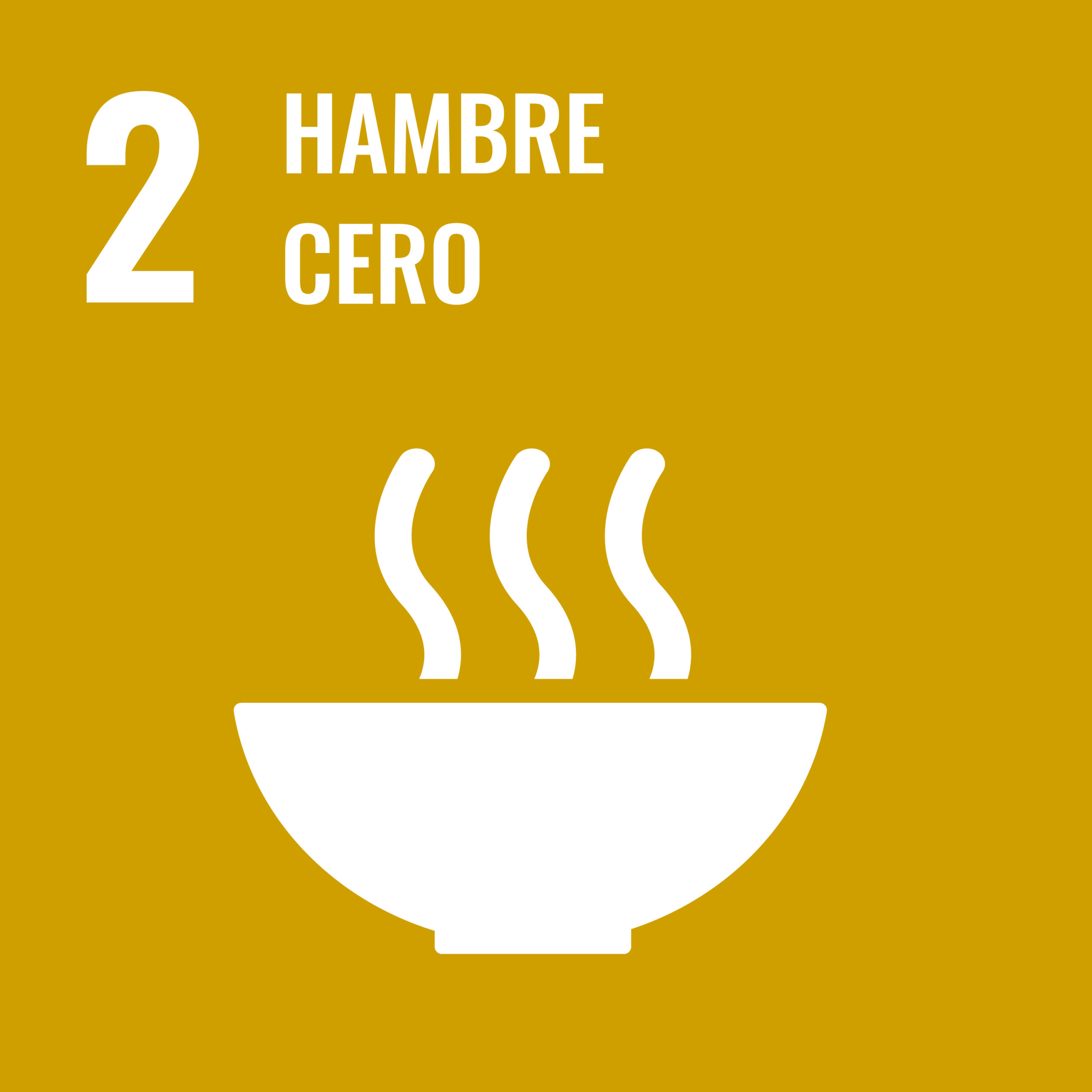 Sustainable_Development_Goal-es-16
